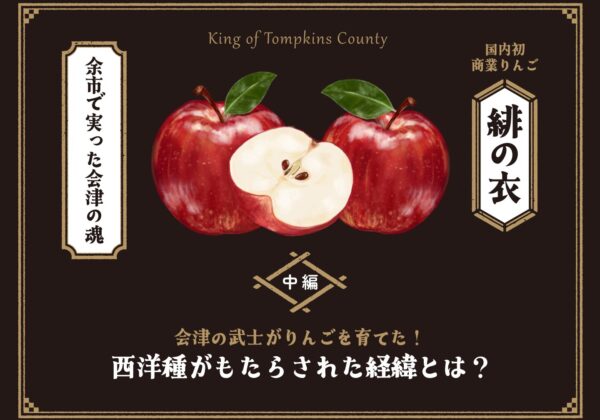 緋の衣（中編）