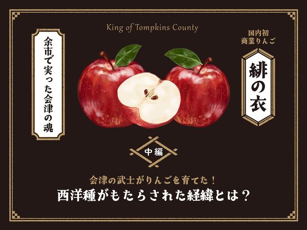 緋の衣(中編)