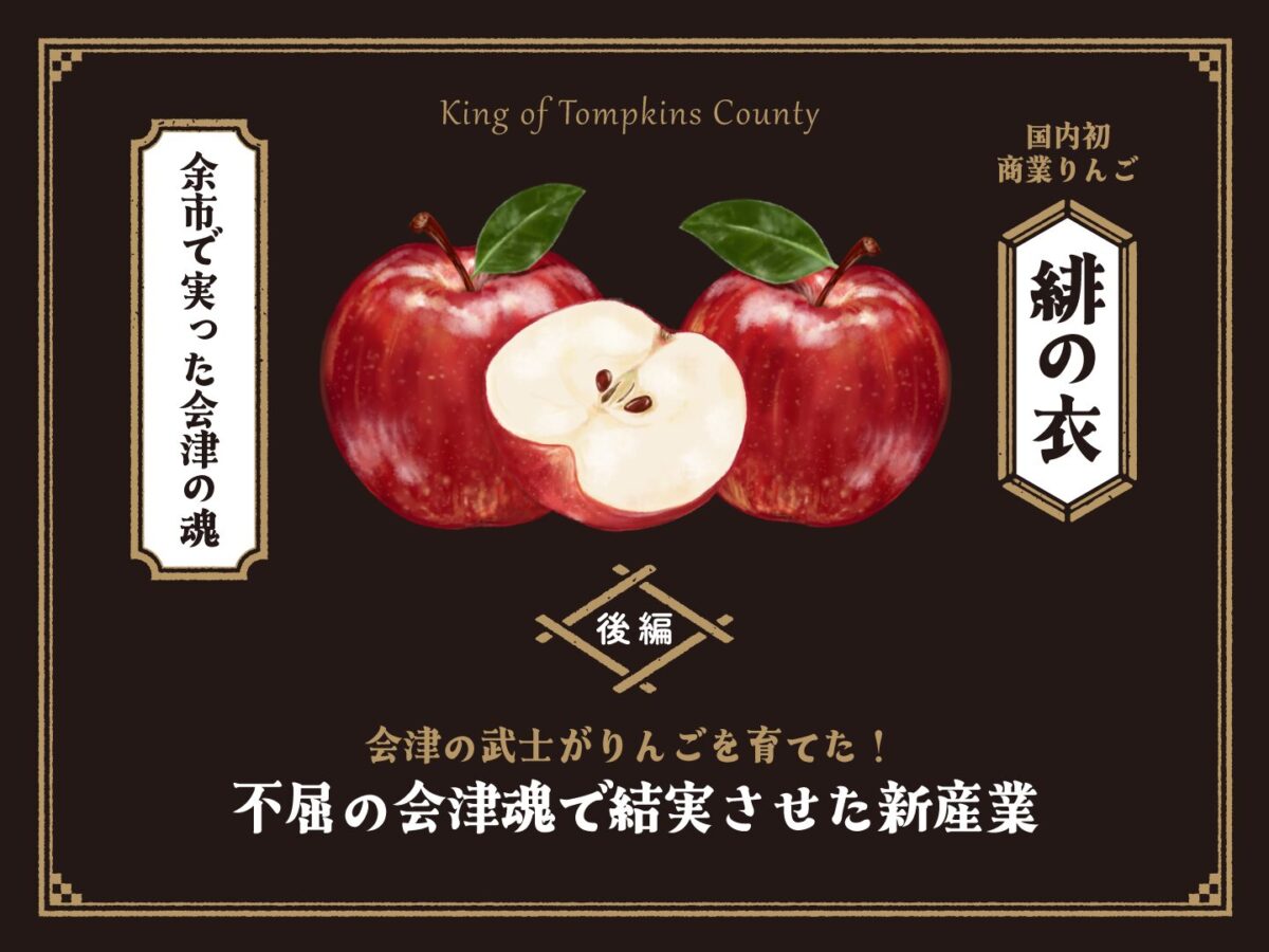 猩红长袍（第二部分）