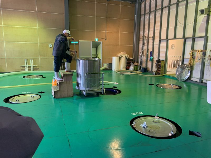 벚꽃 얼굴 주조