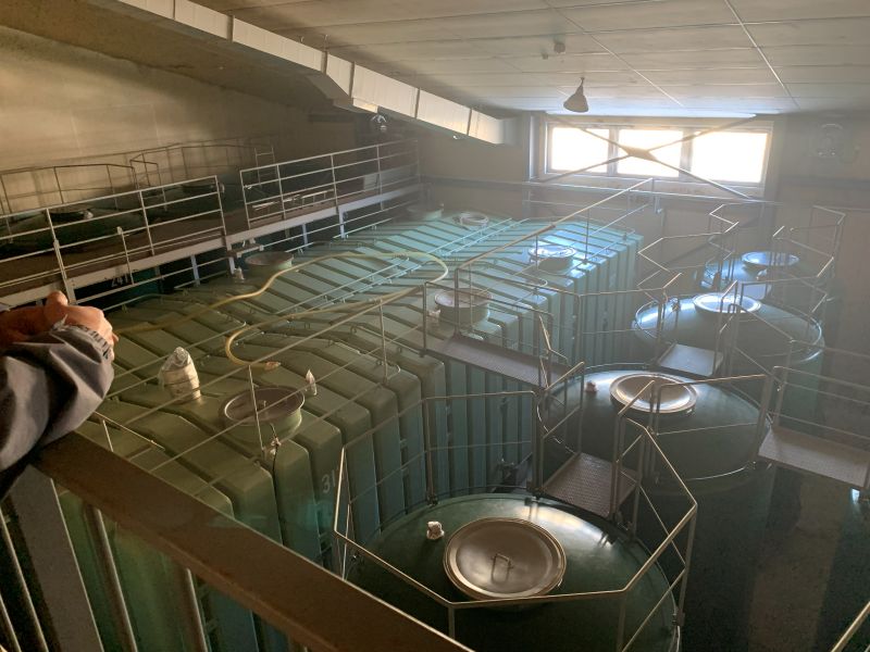 벚꽃 얼굴 주조