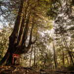 8462_Twelve Yasu_Aomori Prefecture