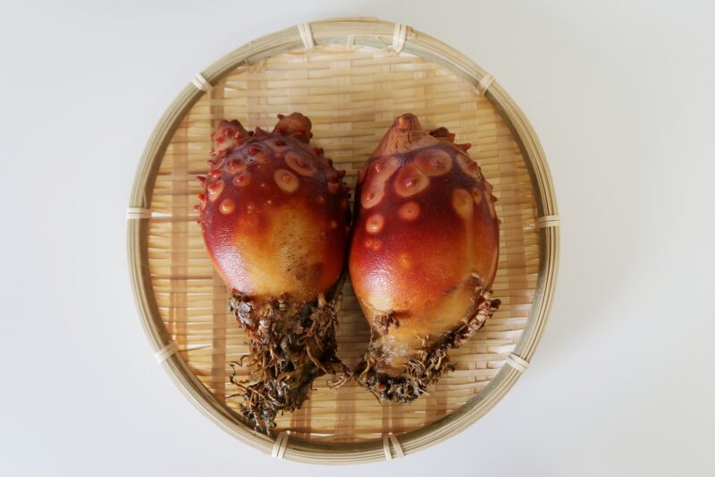 Día de la ascidia (vaina de mar)