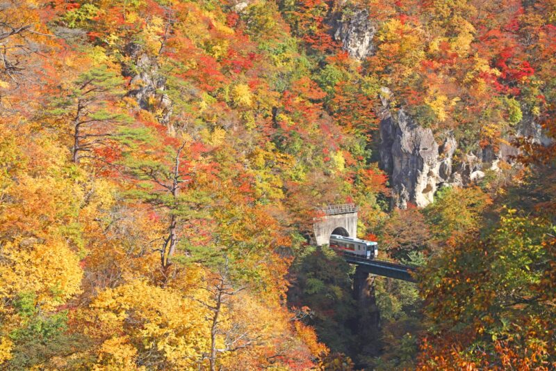 JR陸羽東線と鳴子峡