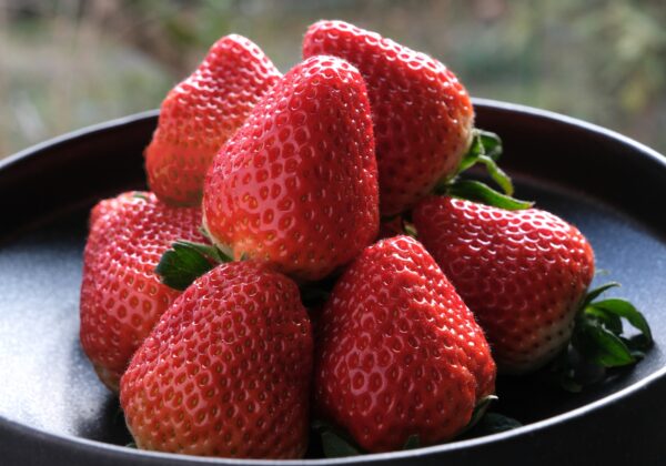 strawberry