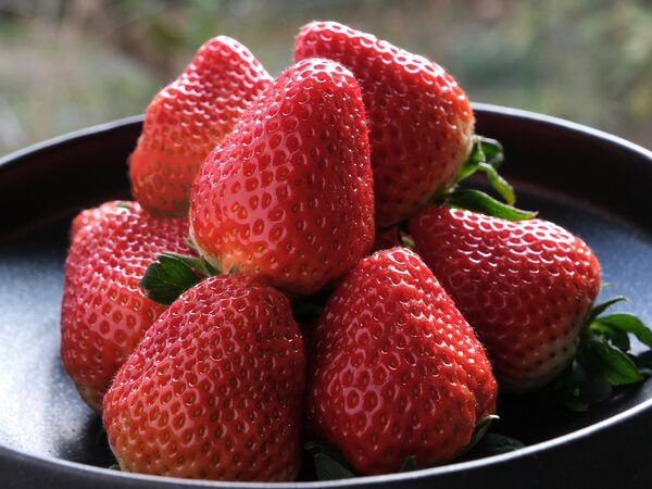 strawberry