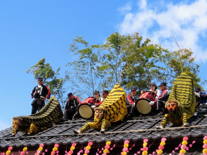 中尼达防火虎舞