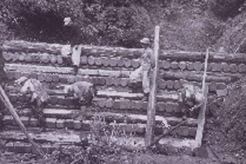 Barrages en bois de Tsubozawa