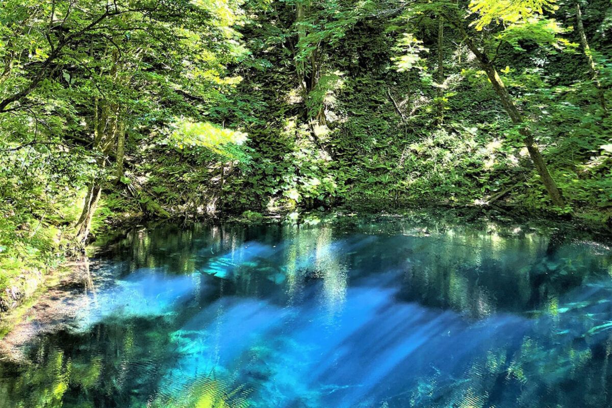 L'étang Aoike, d'un bleu étincelant en été © Ville de Fukaura
