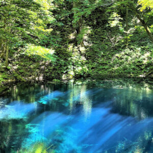 夏日碧波荡漾的青池 ©深浦町