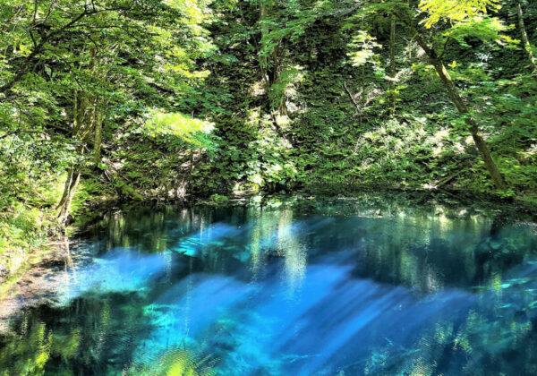 El brillante estanque azul de Aoike en verano ©Fukaura Town