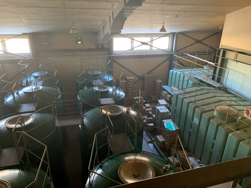 벚꽃 얼굴 주조