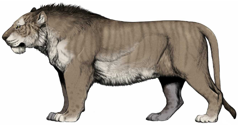 Lion des cavernes