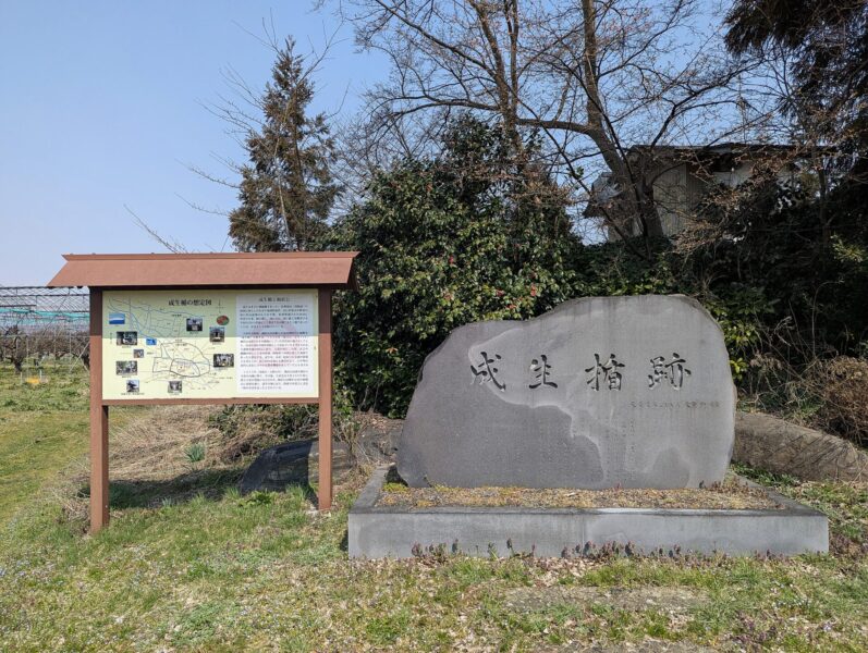 成濑立遗址（山形县天童市）