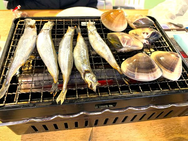 Grilled seafood on a barbecue: several whole fish and clams cooking on a wire grate grill for a meal