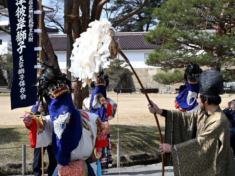 天内舞狮(鞠躬表演)
