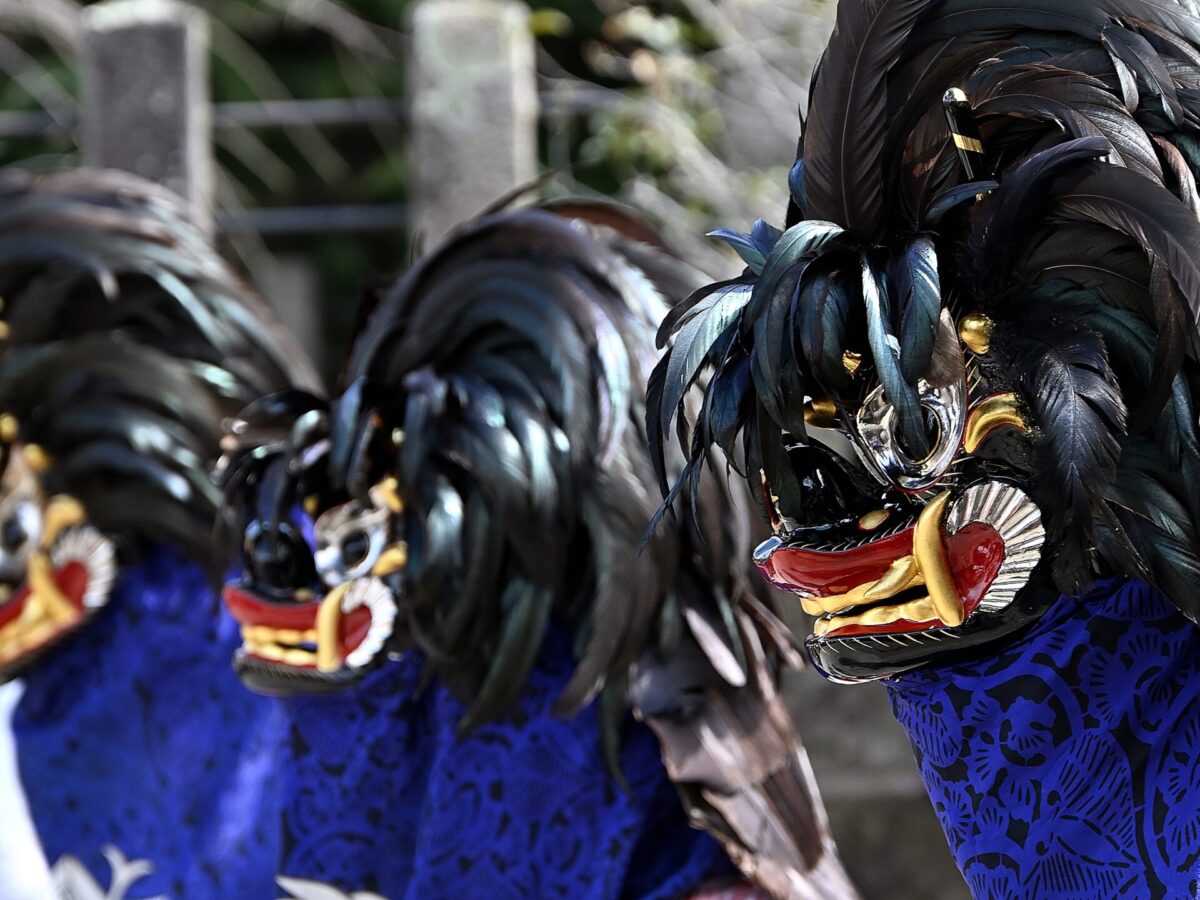 会津彼岸狮(天宁狮)