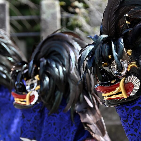 Aizu Higan Lion (Tenning Lion)