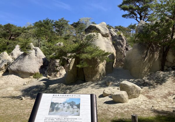 岩石嶙峋的地貌,巨大的岩石和松树在蓝天下若隐若现;前景中立着一块信息牌。.