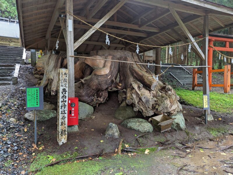 丹内山神社の爺杉の根株（町指定天然記念物）