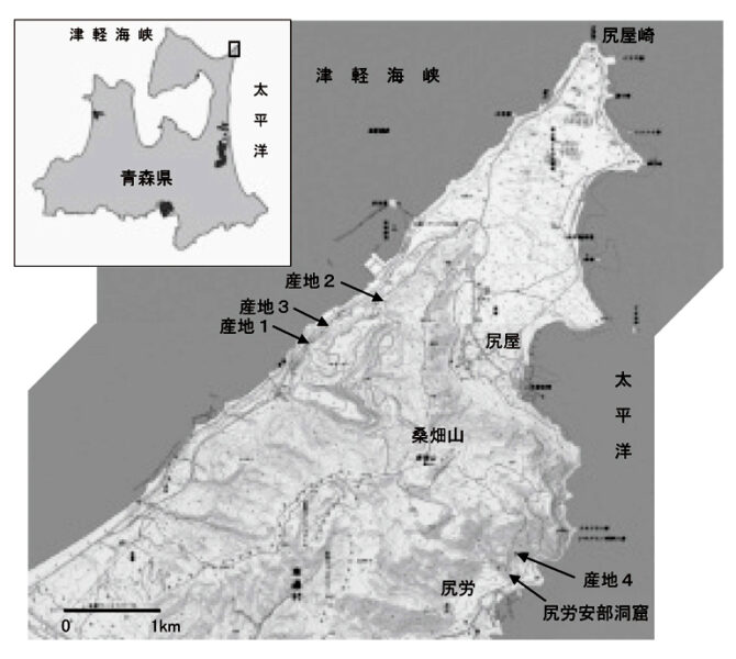 Cape Shiriya