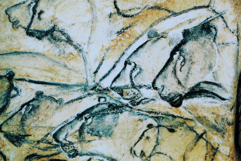 在法国肖维岩洞中发现的一幅狮子（洞狮）岩画，据信已有 36,000 年的使用历史。