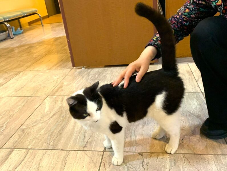 休息伙伴