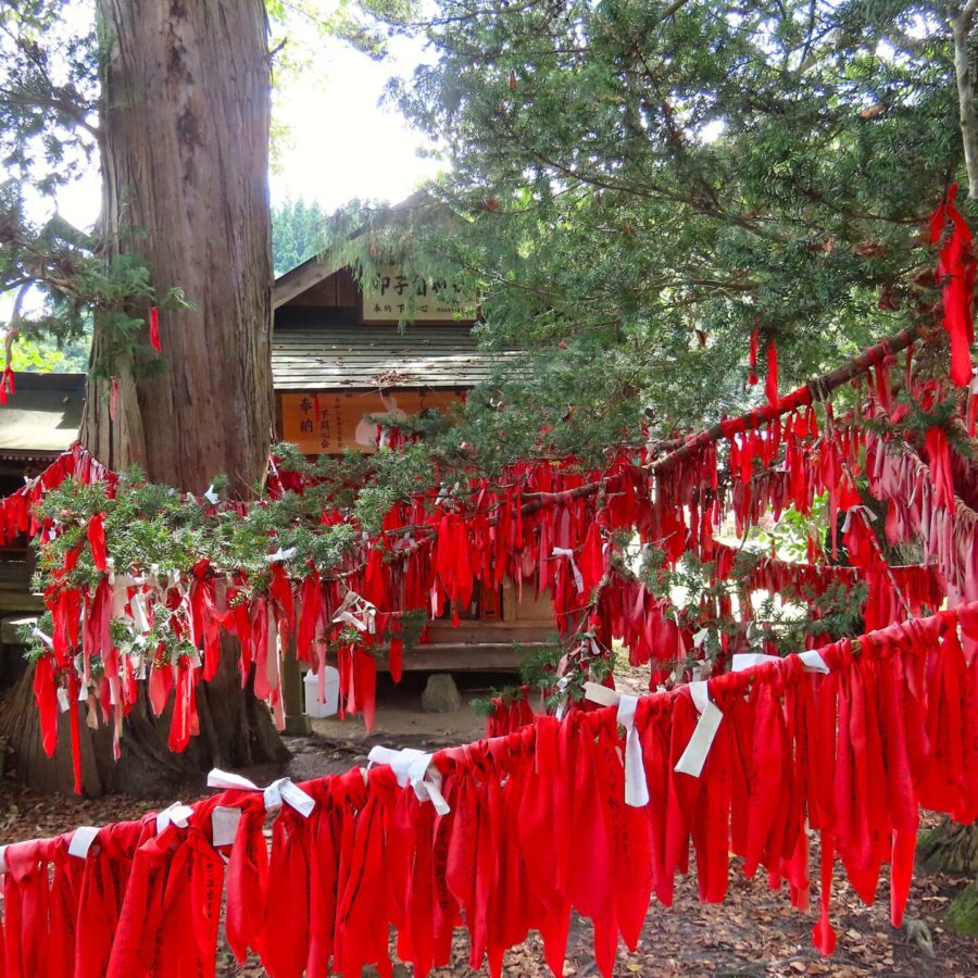 卯子酉神社