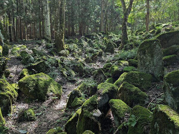 遠野市の五百羅漢