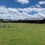 Campo abierto cubierto de hierba con pequeñas flores blancas y una hilera de edificios bajos de madera con techos de metal a lo lejos, bajo un cielo azul con nubes esponjosas.