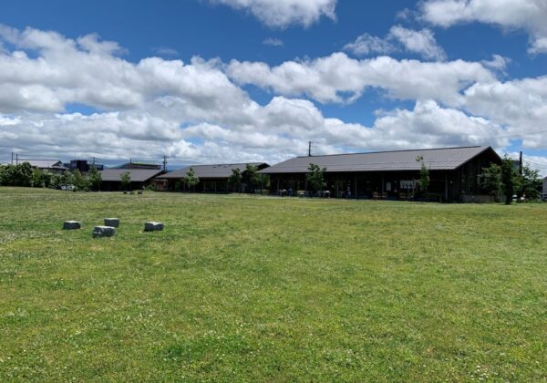 Open grassy field with small white flowers and a line of low wooden buildings with metal roofs in the distance under a blue sky with fluffy clouds.