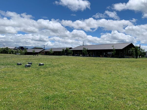 Open grassy field with small white flowers and a line of low wooden buildings with metal roofs in the distance under a blue sky with fluffy clouds.