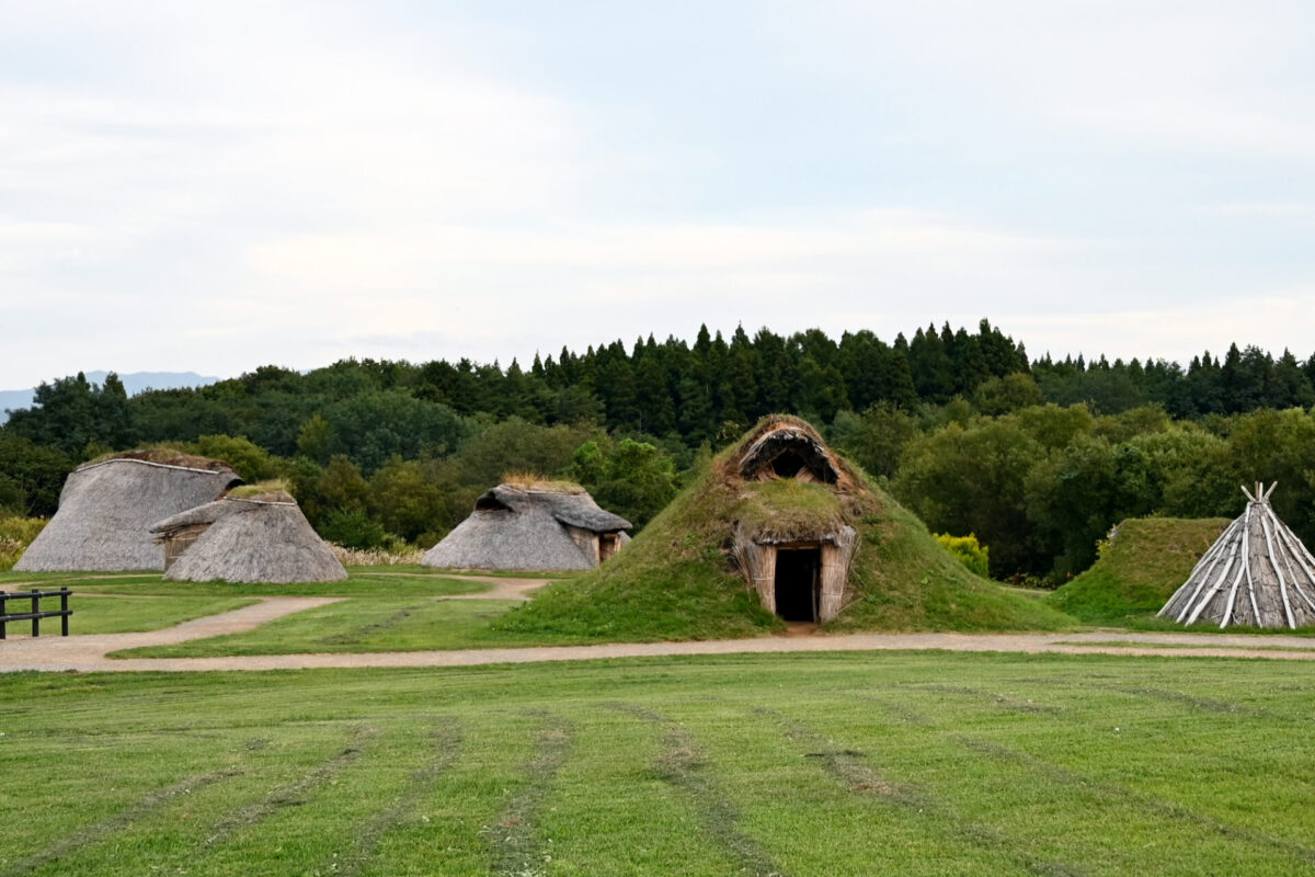 Thatched round huts on a green field with a dirt path and a tree-filled background.