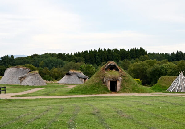 Des huttes rondes au toit de chaume se dressent sur un champ verdoyant, avec un chemin de terre et un arrière-plan boisé.