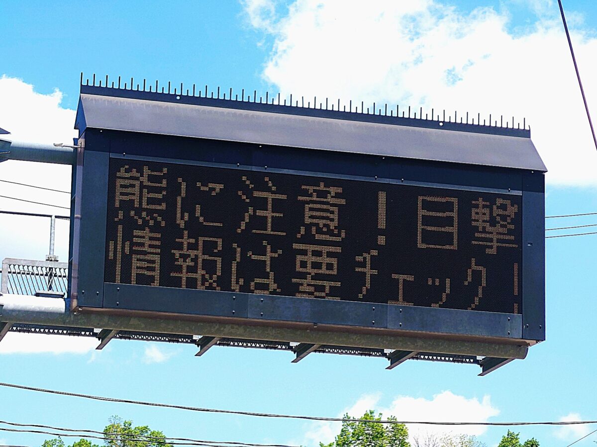 电子告示牌提醒注意熊出没