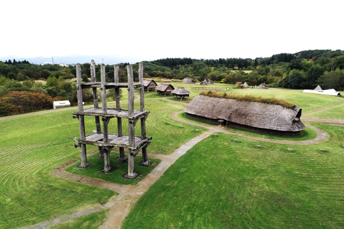 从空中俯瞰一座历史悠久的村庄公园,前景是茅草屋和高耸的木塔,蜿蜒的小路穿过绿茵茵的田野。