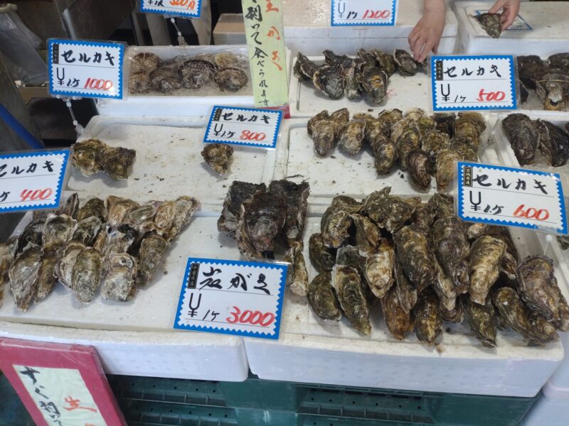 Raw oysters from Iwaki La La Mew
