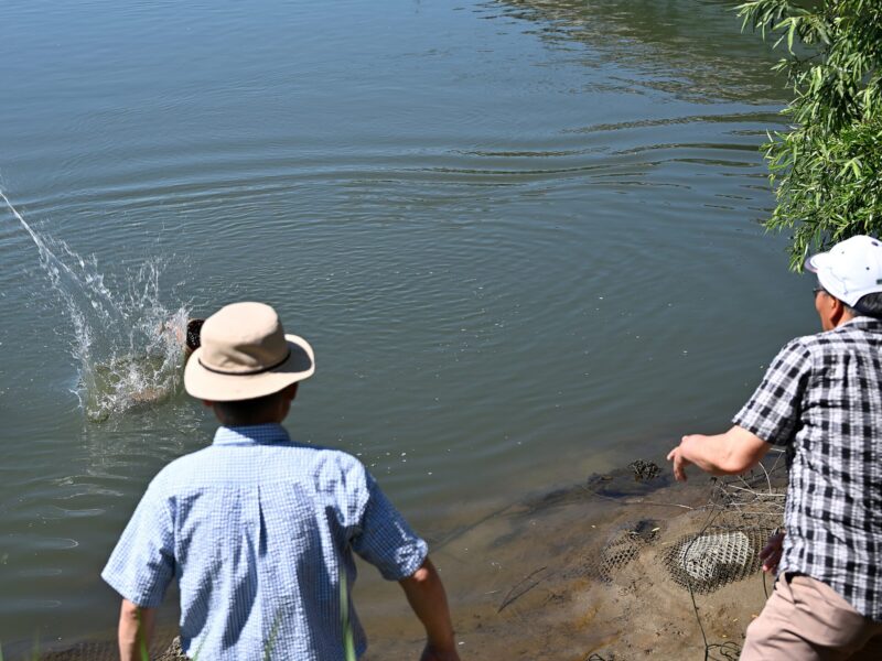 Ce jour-là, une corde sacrée et trois tonneaux furent jetés dans la rivière Mogami