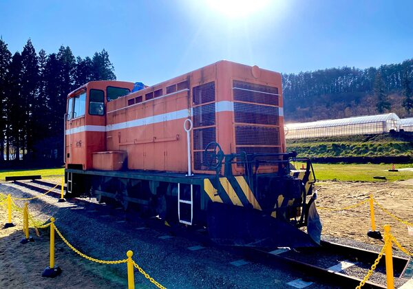南部鉄道DC351