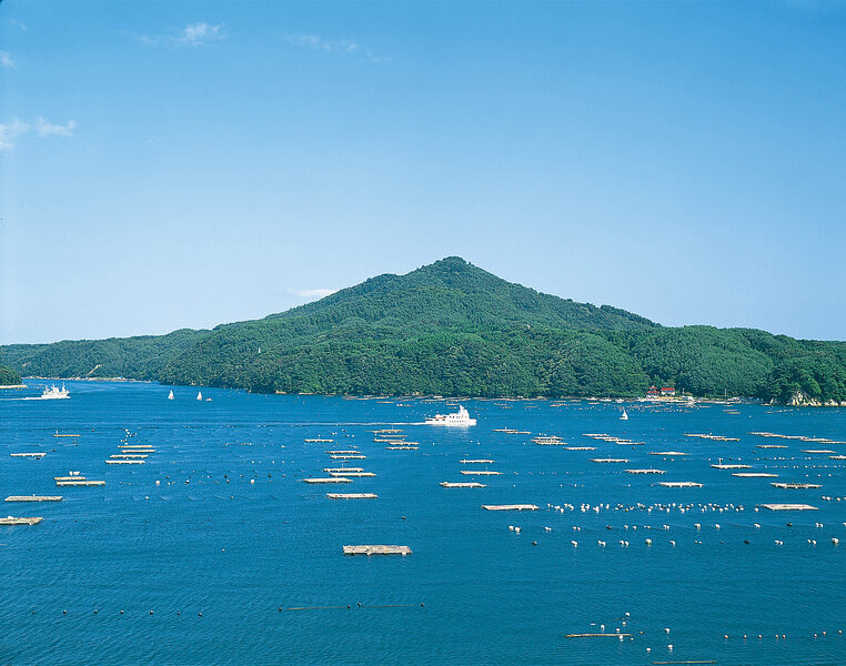 龟山