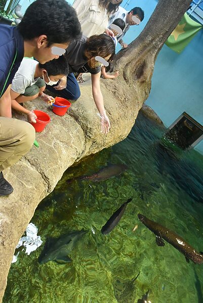Oga Aquarium GAO