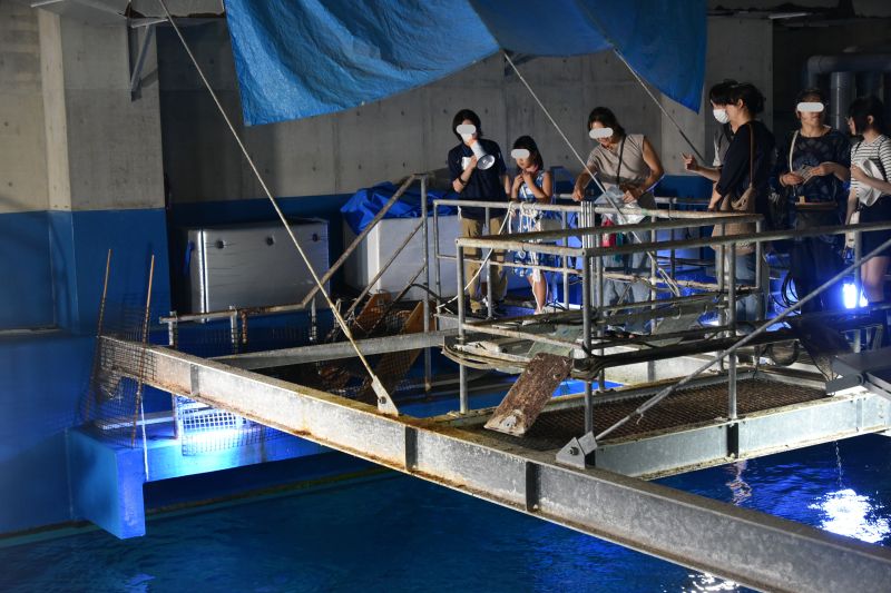 Oga Aquarium GAO