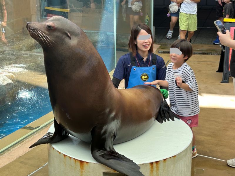 Oga Aquarium GAO