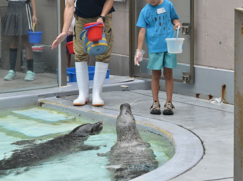 Oga Aquarium GAO