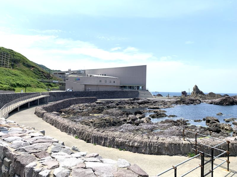 Oga Aquarium GAO