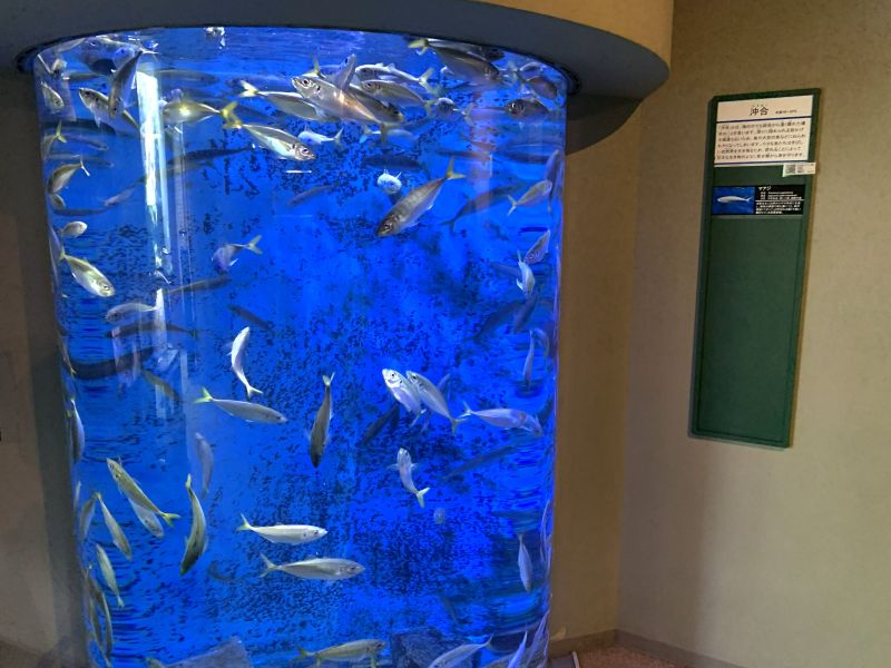 Oga Aquarium GAO