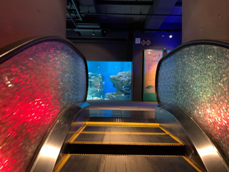 Oga Aquarium GAO