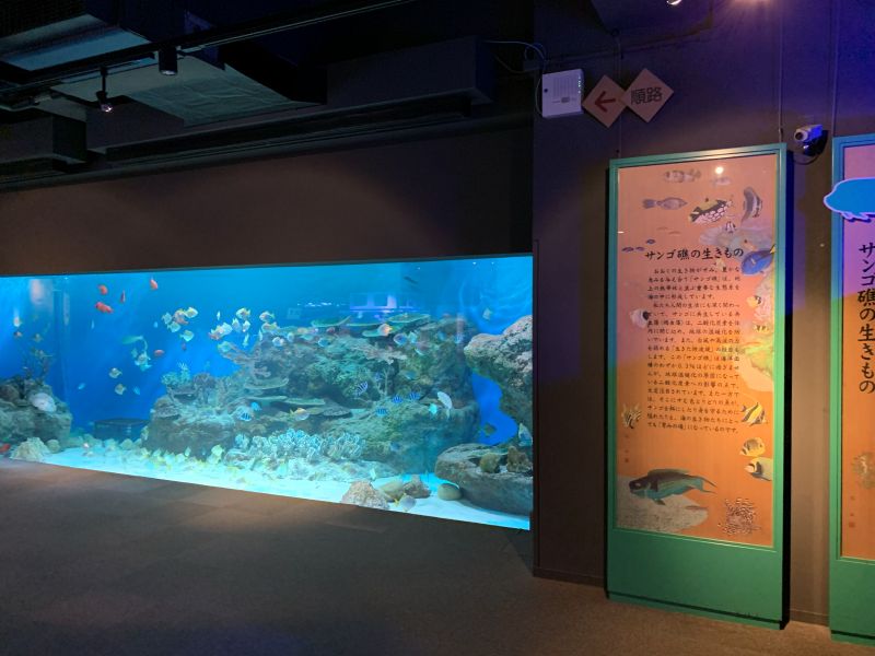 Oga Aquarium GAO