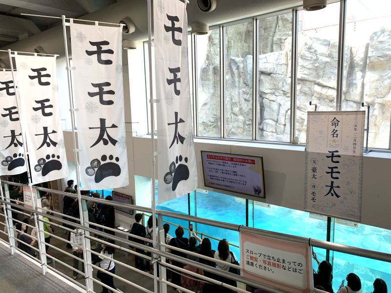 Oga Aquarium GAO