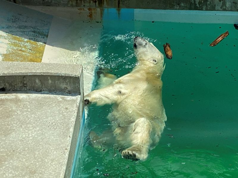 Oga Aquarium GAO